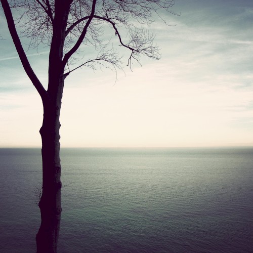 Sense of Life