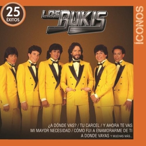 Íconos: 25 éxitos