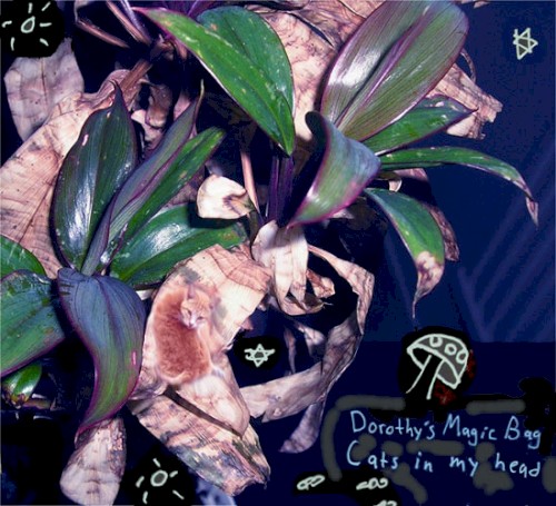 Cats in My Head EP