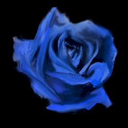 ROSEBUD