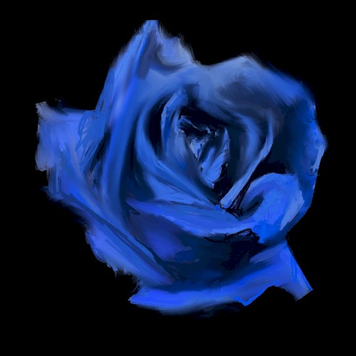 ROSEBUD