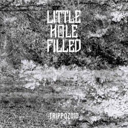 Trippozoid