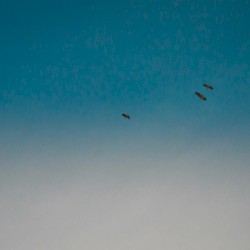 Aperture