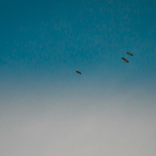 Aperture
