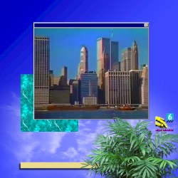 vidéoboutique