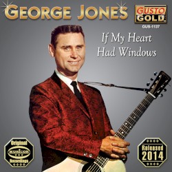 If My Heart Had Windows