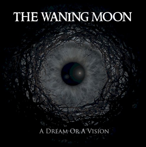 A Dream or a Vision