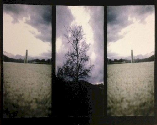 A Mutation and a Madness