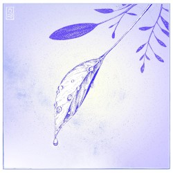 Nepenthe