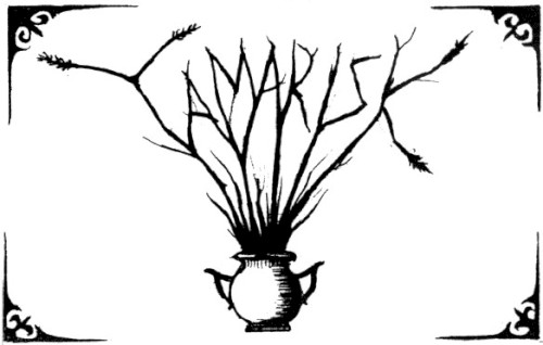 Tamarisk