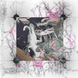 Reptile Summer / Void Kiss Me Back