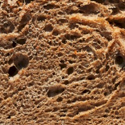 Paninoteca