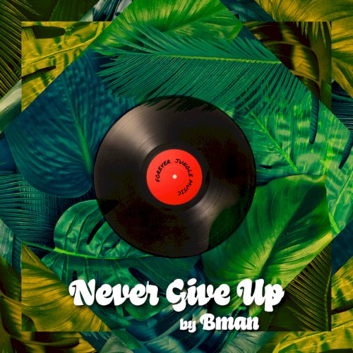 Never Give Up