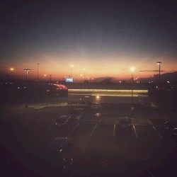 Before It All Disappears