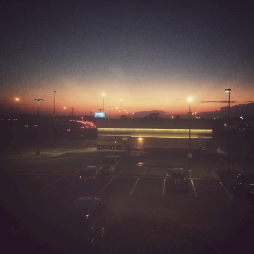 Before It All Disappears