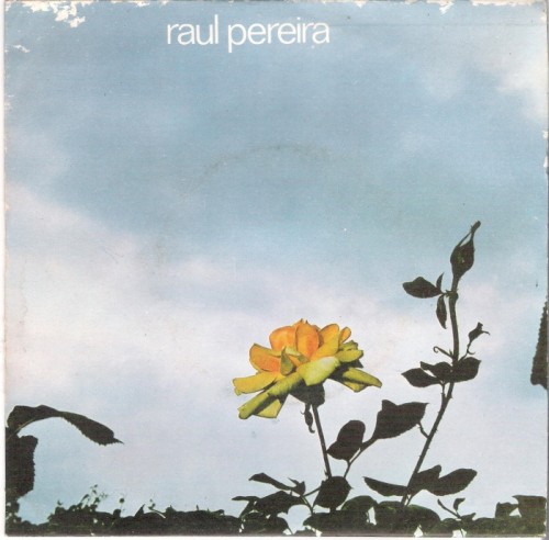 Raul Pereira