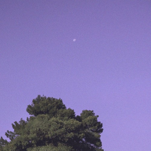 Unblemished Sky