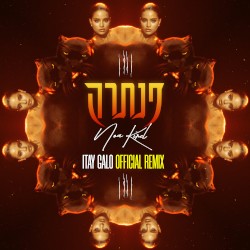 פנתרה (Itay Galo Official Remix)