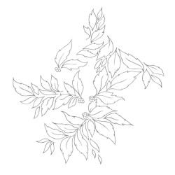Momenta quintae essentiae