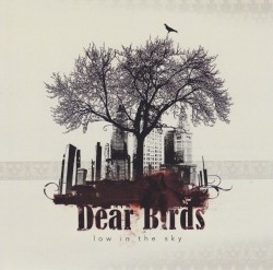 Dear Birds