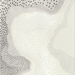 Bulles à facettes