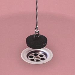 Black Hole