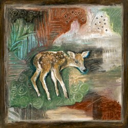 Fawn