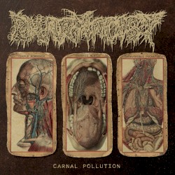 Carnal Pollution