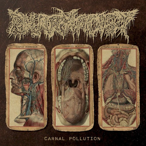 Carnal Pollution