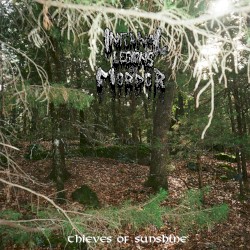 Thieves of Sunshine