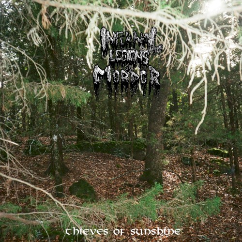 Thieves of Sunshine