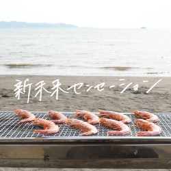 新未来センセーション