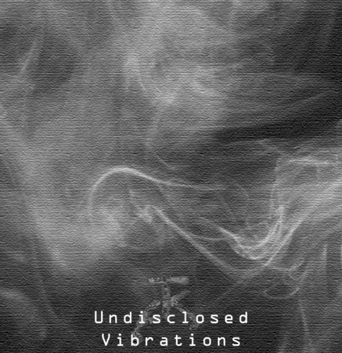 Undisclosed Vibrations