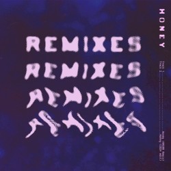 Honey Remixes