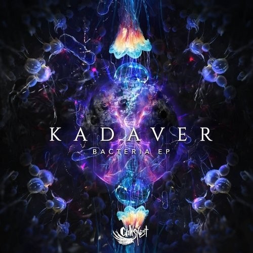 Bacteria EP