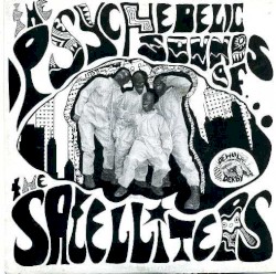 The Psychedelic Sounds Of...