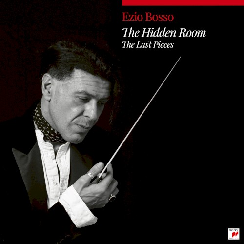 The Hidden Room (The last Pieces)