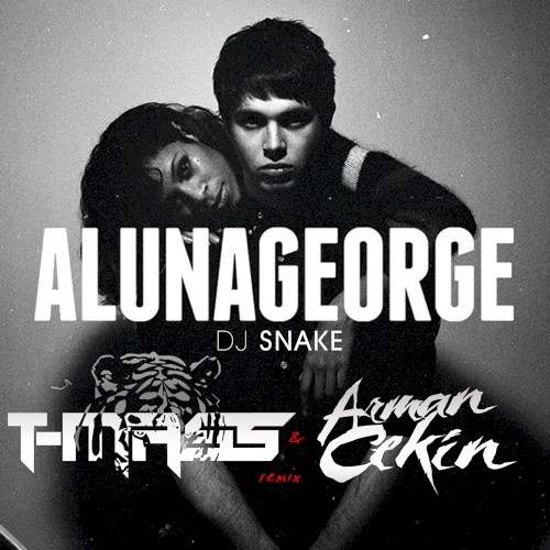 You Know You Like It (T-Mass & Arman Cekin remix)