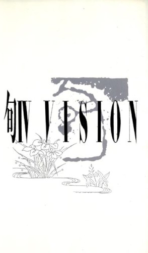 旬IV VISION