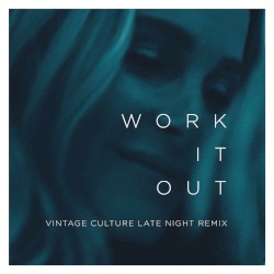 Work It Out (Vintage Culture Late Night remix)