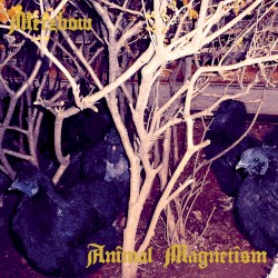 Animal Magnetism