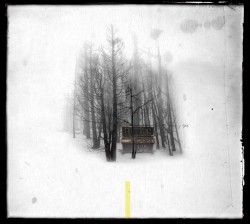 Music for a Book