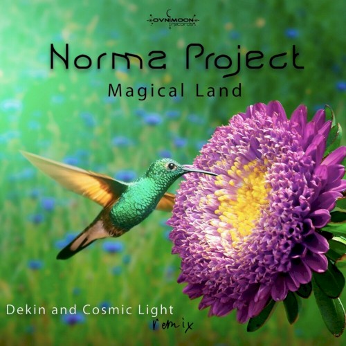 Magical Land (Dekin and Cosmic Light remix)