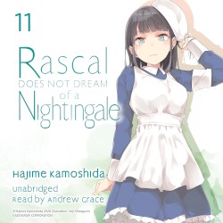 Rascal Does Not Dream of a Nightingale