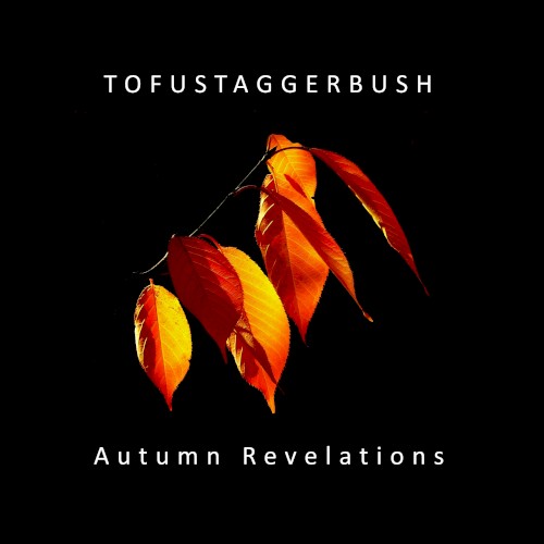 Autumn Relevations
