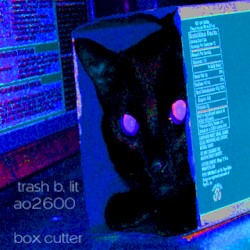 box cutter