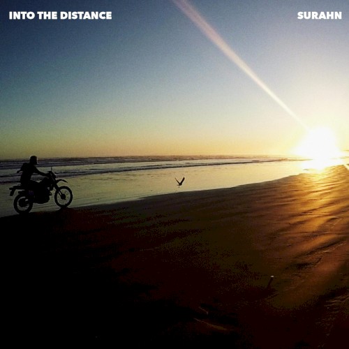 Into the Distance (Wealth remix)