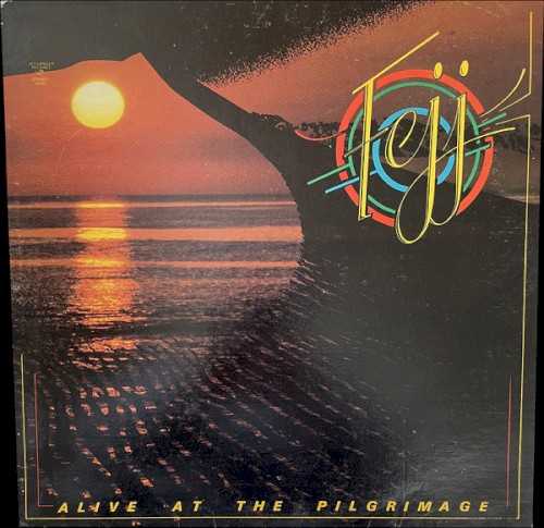 Alive at the Pilgrimage