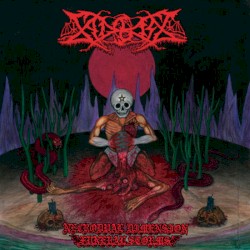 Necrodual Dimension Funeral Storms