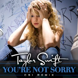 You’re Not Sorry (CSI remix)
